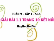 Bài 1.1 trang 10 Toán 9 tập 1 Kết nối tri thức SGK